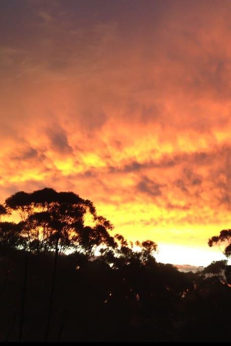 Avoca Beach And Bush Extérieur photo