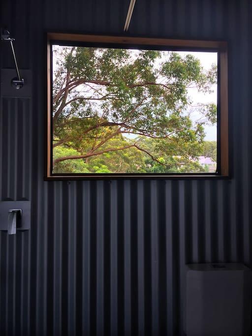 Avoca Beach And Bush Extérieur photo